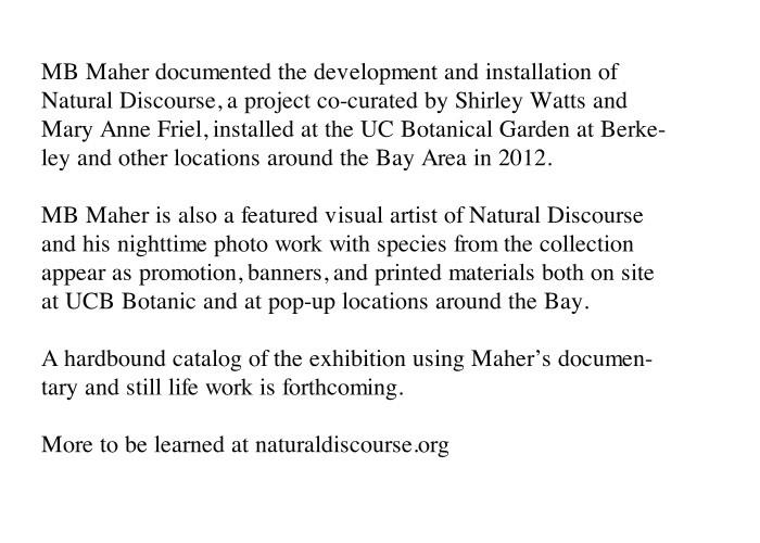 http://zmail.mbmaher.com/files/gimgs/th-4_natural.jpg